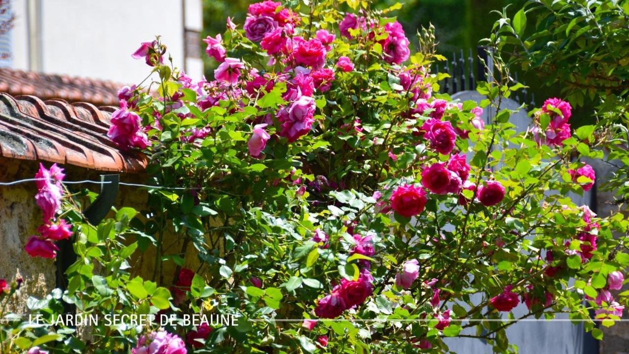 Le Jardin Secret De Beaune Beaune  Zewnętrze zdjęcie